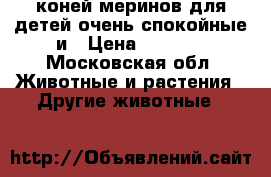 2 коней меринов для детей очень спокойные и › Цена ­ 50-80 - Московская обл. Животные и растения » Другие животные   